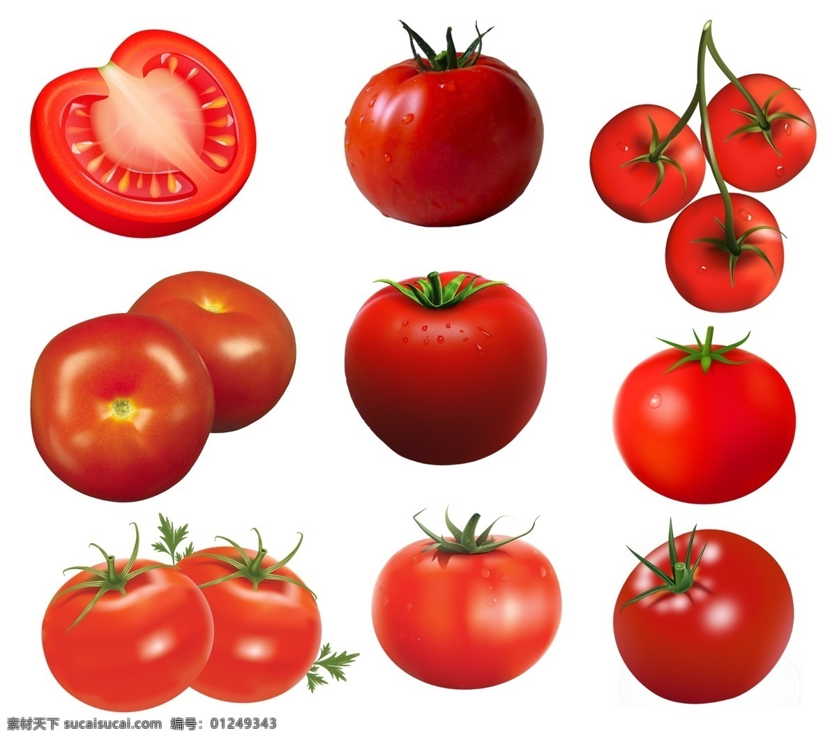 西红柿 手绘 矢量素材 蕃柿 洋柿子 蔬菜 食物 食材 餐饮美食 食物原料 西红柿素材 番茄素材