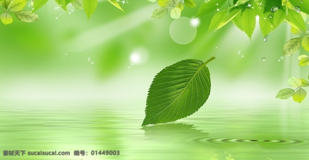 春绿 春天 绿叶 水面 涟漪 水珠
