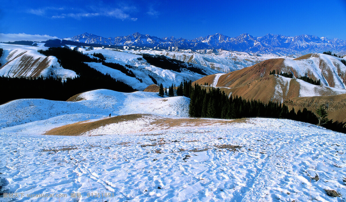 乌鲁木齐 南山 庙儿沟 雪山 冬天 雪松 黄土 新疆 天空 蓝天 白云 摄影图片 自然景观 自然风景 摄影图库