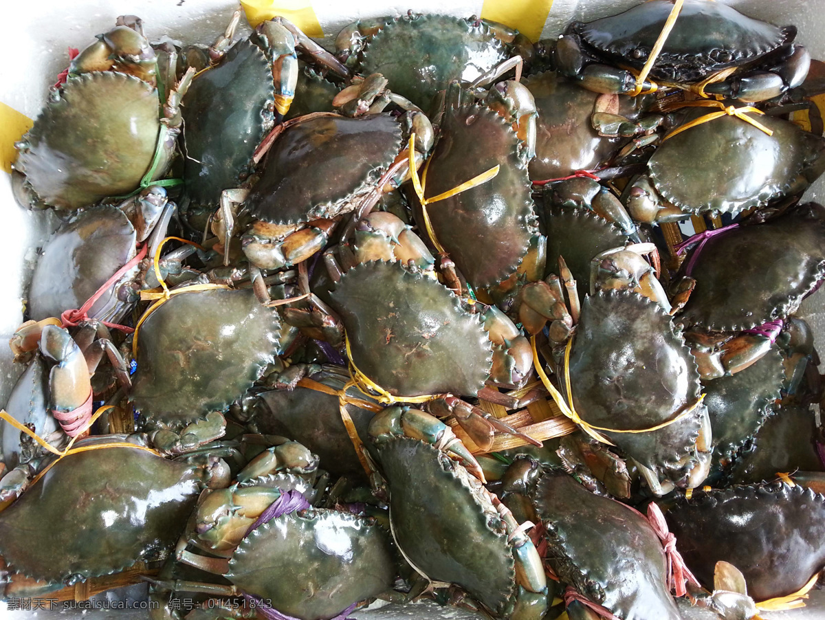 梭子蟹 海鲜 海味 海产品 螃蟹 餐饮美食 食物原料