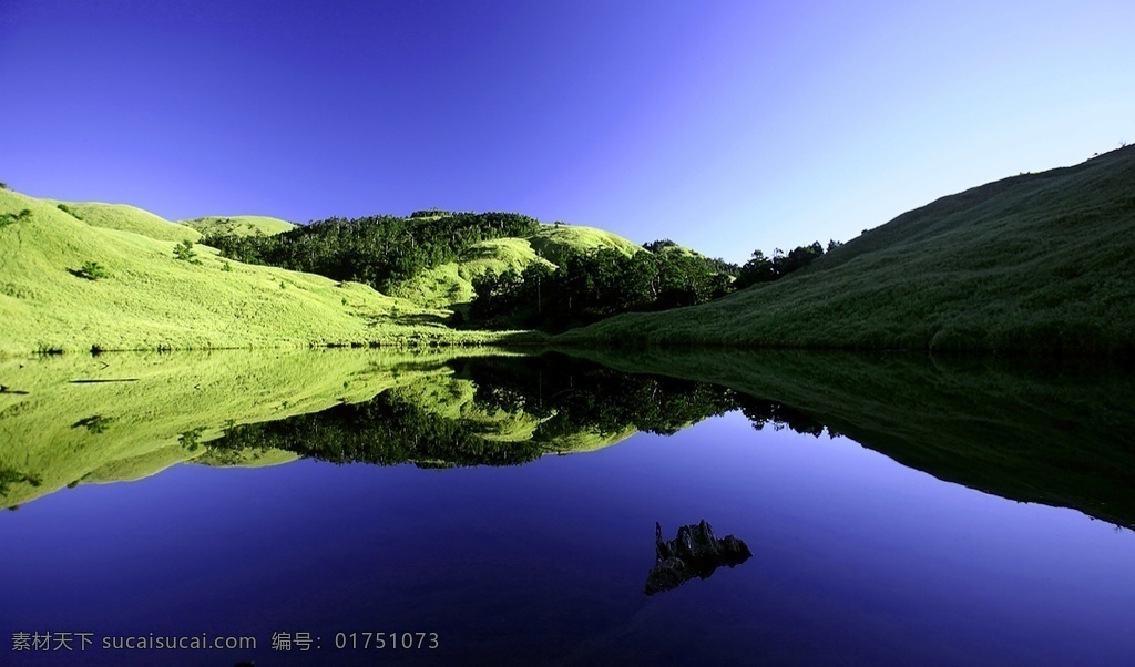 自然景观 自然风光 大自然风景 风景 风景图片 风景壁纸 大自然 蓝天白云 电脑壁纸 创意图片 美景 美景图片 美景壁纸 旅游风景 风景名胜 植物 绿色植物 婚庆图片 婚庆背景 草原 大草原 草原风景 草地 唯美风景