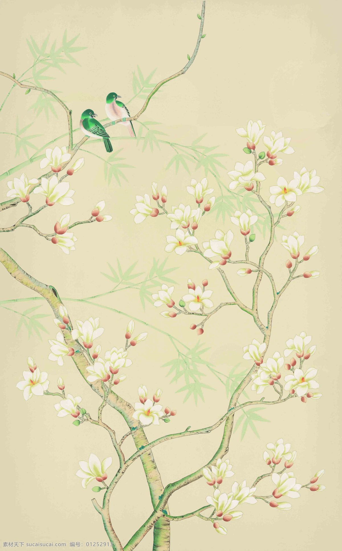 花鸟1 玉兰 新中式 花鸟 花鸟画 花鸟壁画 手绘花鸟 花鸟图 卧室背景 中式卧室 背景墙 古典 国画 中国风 梅花 手绘 水墨 现代 中式手绘 工笔花鸟 大气 白玉兰 手绘玉兰 背景 工笔玉兰 山水 中式 玉兰花 中式花鸟 山水装饰画 中式山水 花鸟装饰画 中式背景 山水背景 花鸟背景