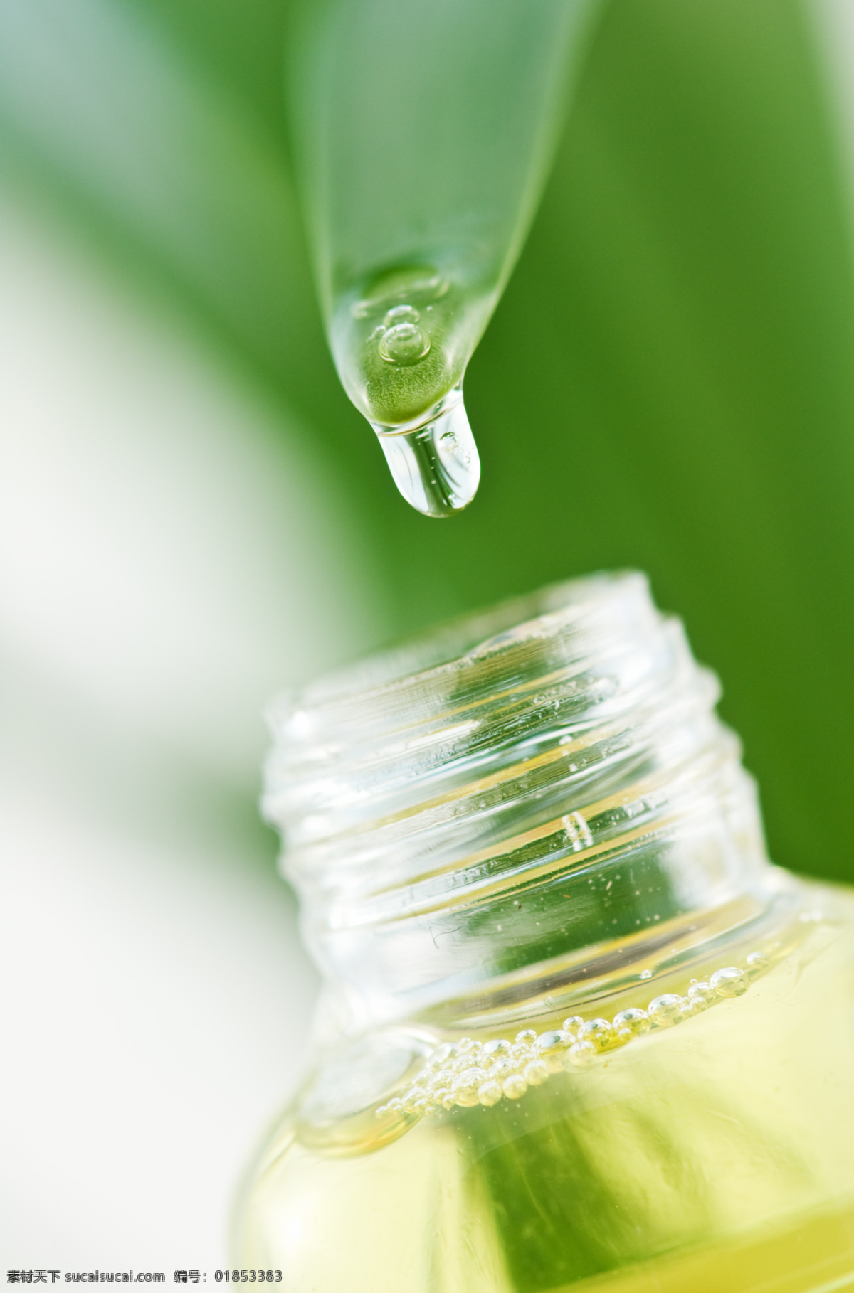 spa 家居 家居生活 精油 瓶子 桑拿 生活百科 水滴 树叶 水珠 水疗 mycbdle 生活用品 psd源文件