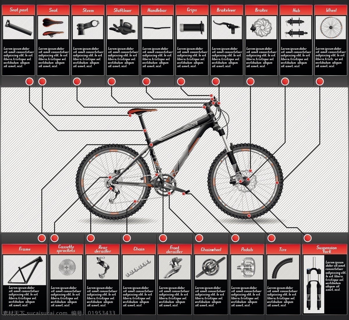 自行车构造 自行车 构造 各个部件 介绍 矢量图 矢量造型 现代科技 交通工具