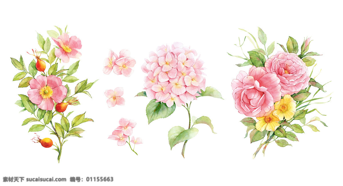 手绘 粉色 花朵 粉色花朵 绿叶 手绘花朵 手绘图案 植物 花卉 书画文字 文化艺术