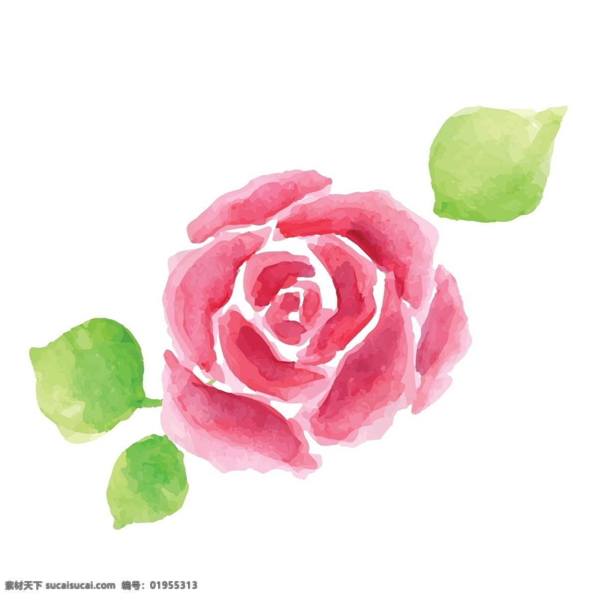 卡通 红色 玫瑰 花朵 免 抠 图 玫瑰花 绿色叶子 带刺的玫瑰 卡通玫瑰 仿真
