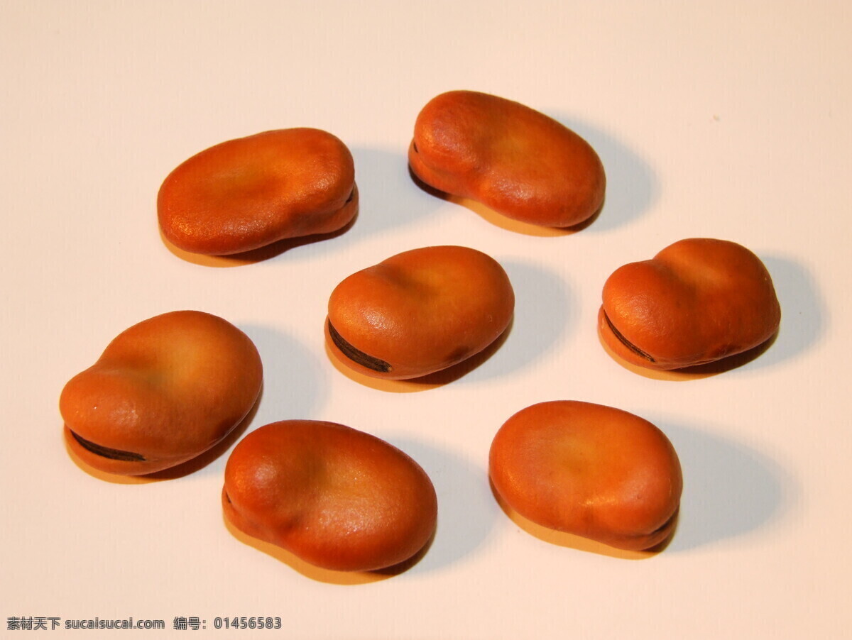 高清 大 蚕豆 特写 大蚕豆 豆子 大豆 黄豆 摄影图库 食品图片 设计图库 食品背景 背景底纹 豆类 杂粮 粮 食 食物 食物原料 黑豆 豌豆 青豆 云豆 花豆 燕麦 餐饮美食 食物素材