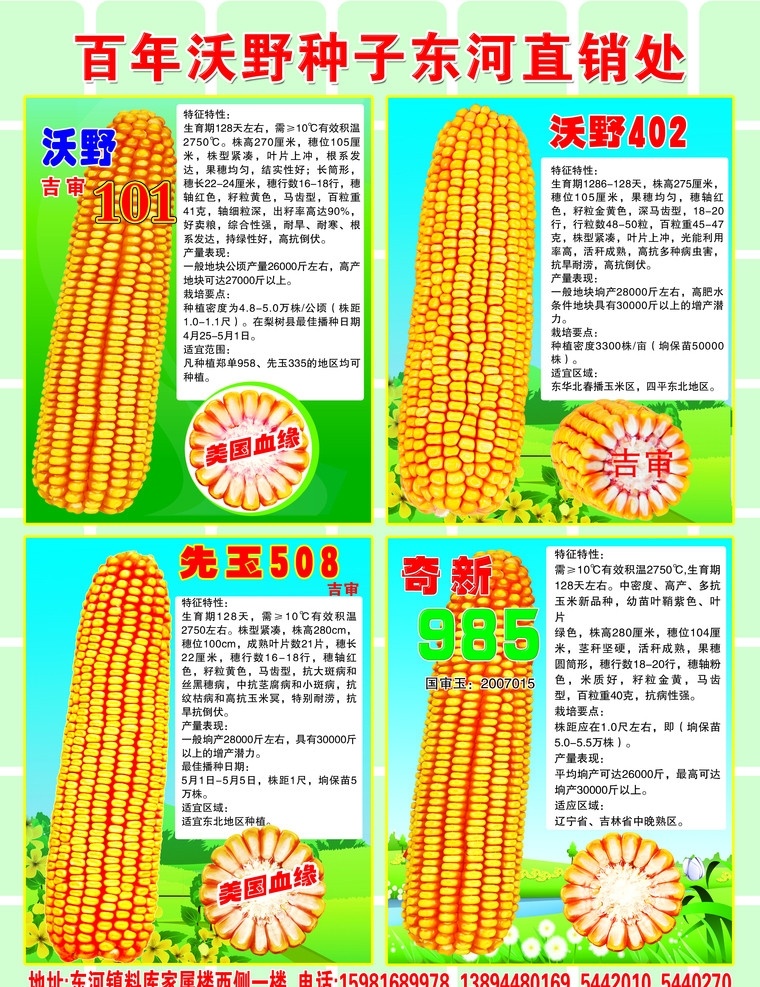 百年沃野 种业 玉米 玉米棒 广告设计模板 报纸 宣传单 dm宣传单 源文件