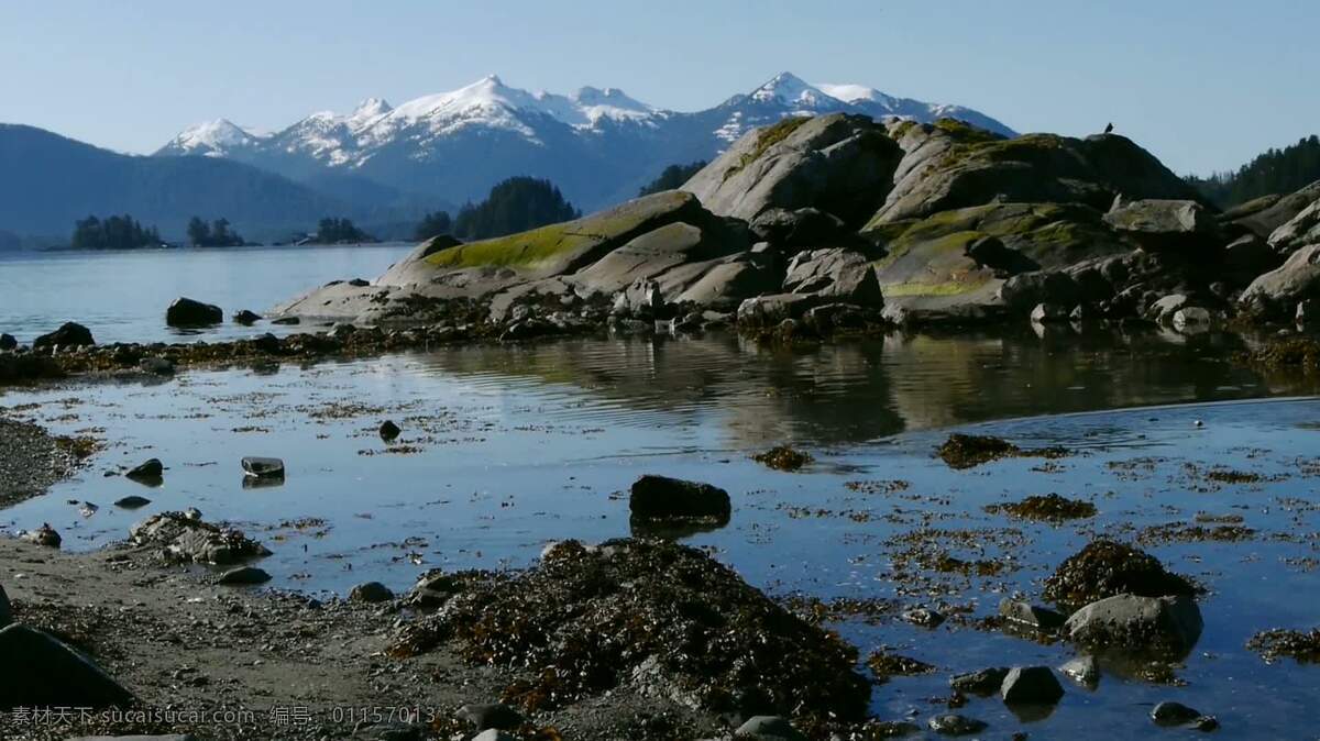 海滩风景 景观 自然 风景 海洋 海滩 水 阿拉斯加 山 雪 封顶 高的 海拔高度 岩石 海藻 黑色 环境 保存 保护