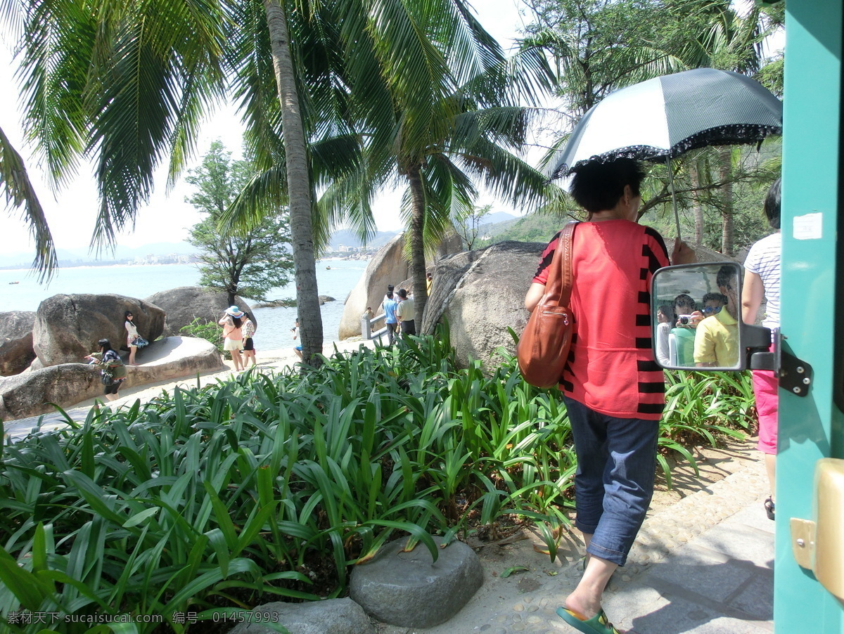 海南旅游 热带植物 三亚 三亚植物 天涯海角 大海 海水 碧海蓝天 暗礁 礁石 椰子树 芭蕉树 海南 三亚旅游 海南植物 三亚摄影 椰树林 树 景观 热带景观 海南景观 三亚景观 三亚景色 旅游摄影 国内旅游