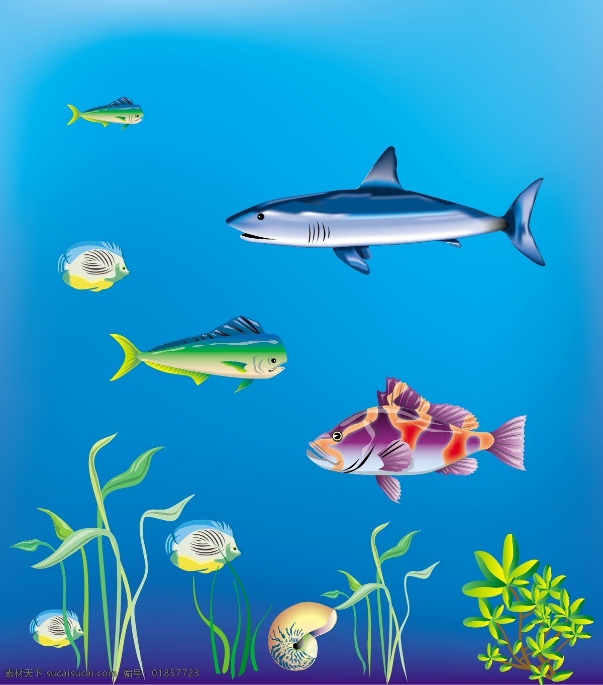 海洋世界 海洋 时间 鱼 贝壳 水草 矢量 鲨鱼 炫彩 可爱 好看 简单 鱼类 生物世界