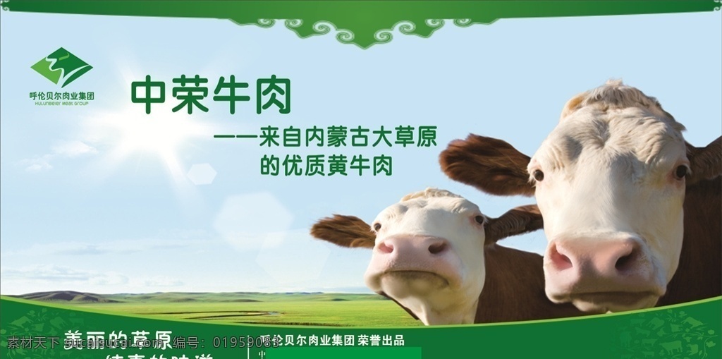 中荣牛肉 牛 草原 绿色背景 大草原
