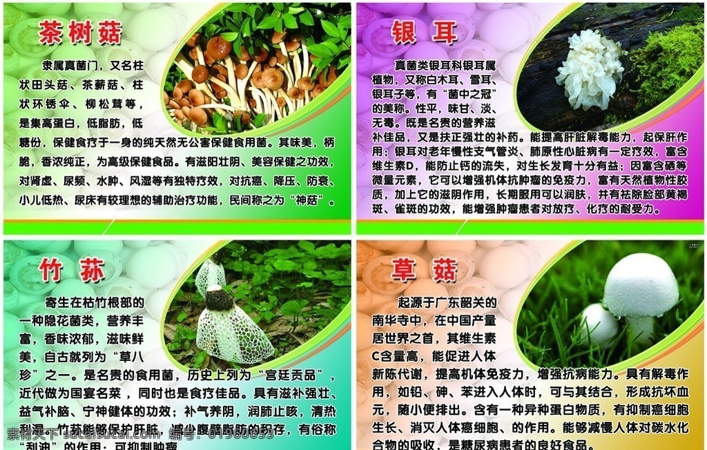 蘑菇介绍展板 蘑菇 茶树菇 银耳 竹荪 草菇 菌类 展板 底图 背景 展板模版 宣传栏设计 橱窗展板 蔬菜 大棚 植物 介绍 类 文字 展板背景 营养介绍 广告设计模板 源文件