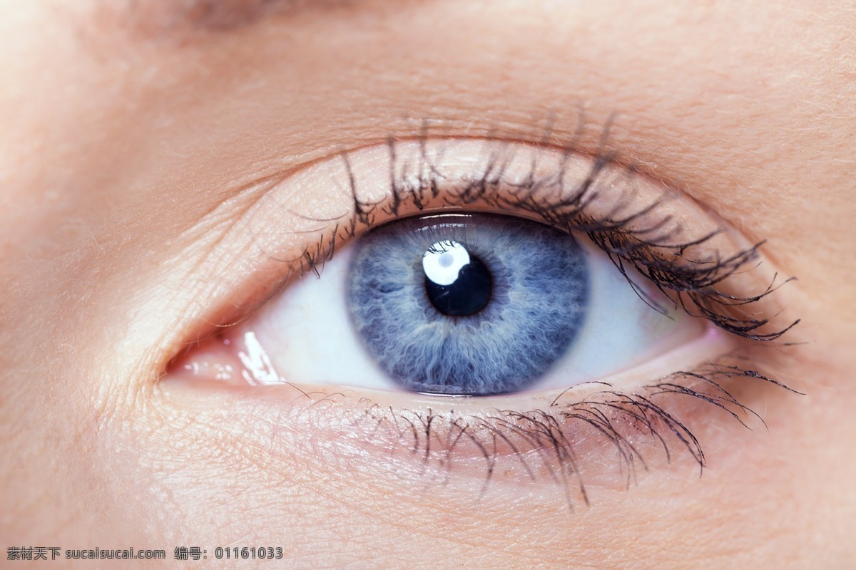 睁 大 眼睛 视网膜 眼球 眼球结构组织 瞳孔 人体器官 人体器官图 人物图片
