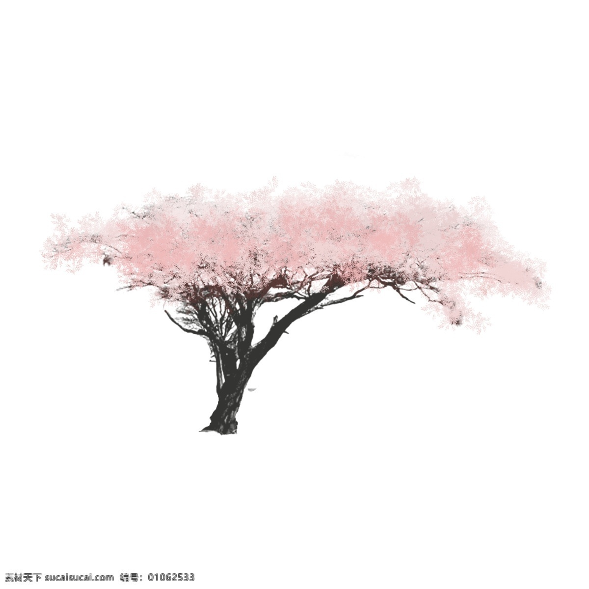 手绘 中国 风 花树 水墨画 彩色 谷雨 清明 卡通 桃花树 樱花树 免抠 无背景 透明底 插画 原创 装饰 平面设计 中国风 装饰设计 彩墨画