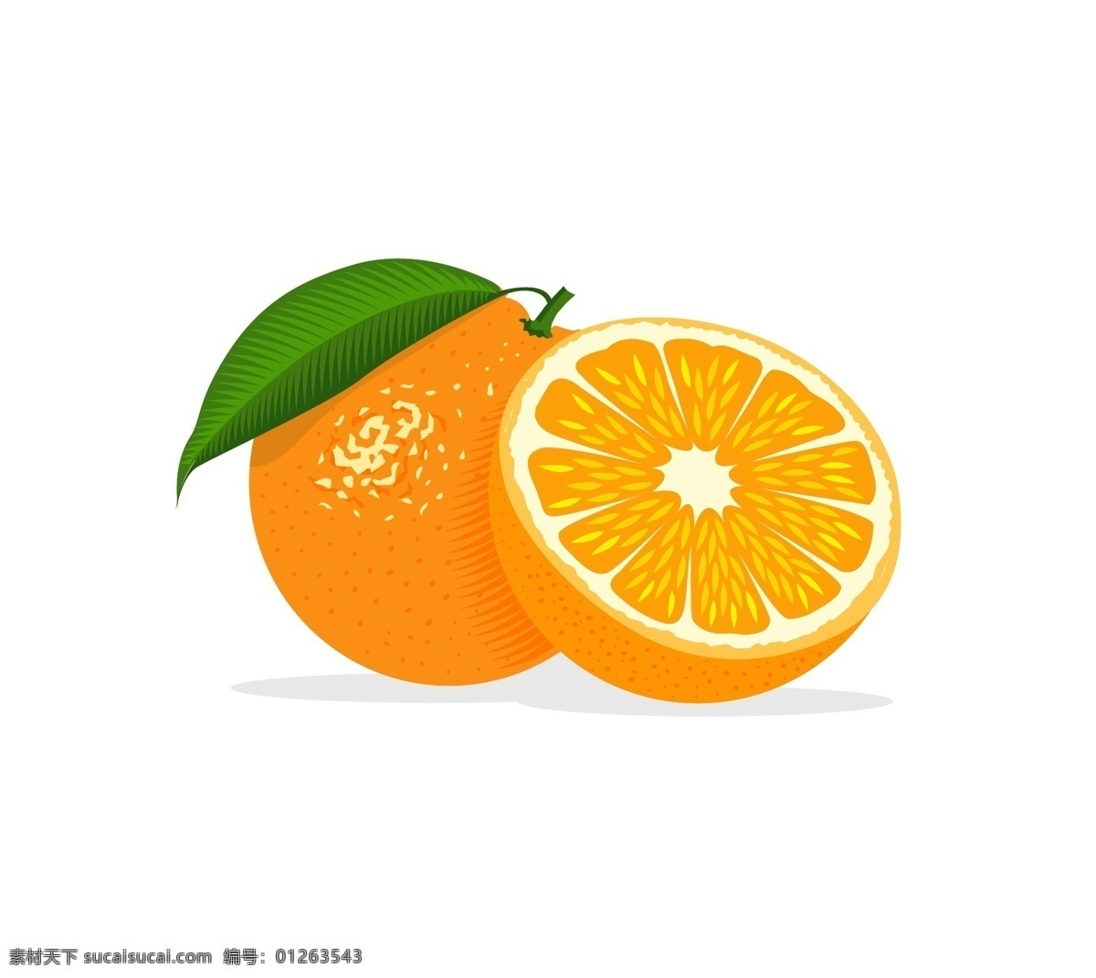 矢量柑橘 矢量 水果 柑子 橘子 脐橙 标志图标 其他图标