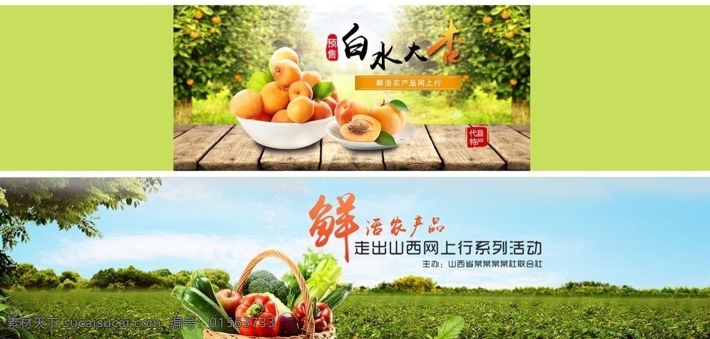 农产品 网 上行 活动 海报 蔬菜海报 水果海报 蔬果海报 蔬果轮播图 农产品网上行 助农增收 水果 蔬菜 杏 杏儿 白水大杏 鲜活农产品 食品轮播 淘宝轮播 电商轮播 轮播 淘宝界面设计 淘宝 广告 banner