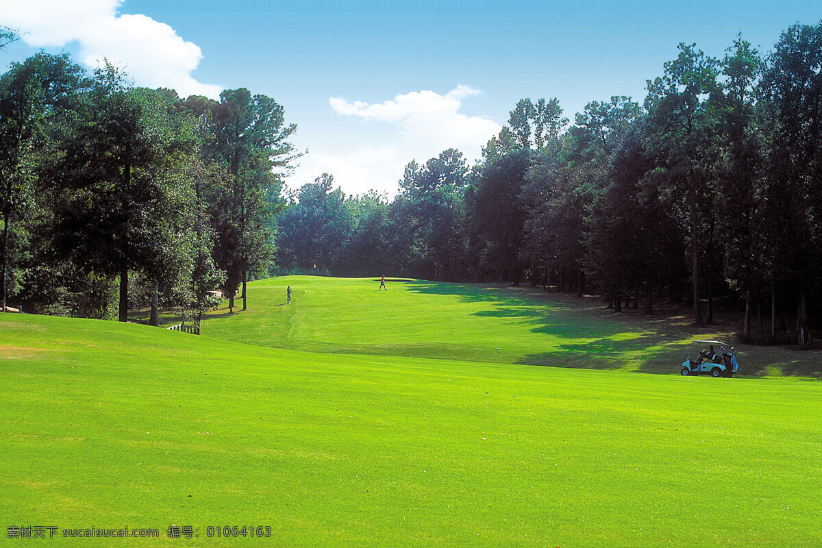 高尔夫球场 高尔夫 高尔夫运动 草地 绿地 蓝天 白云 树林 美景 风景照片 桌面壁纸 国内旅游 旅游摄影