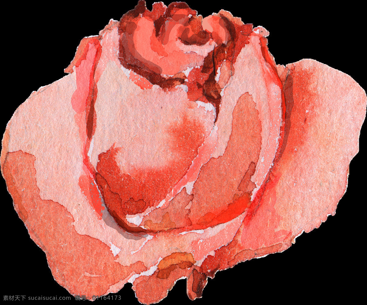 水彩 彩色 精致 鲜花 叶子 免 扣 合集 插画 粉色 红色 花瓣 花朵 花卉 黄色 橘色 卡通 绿色 绿叶