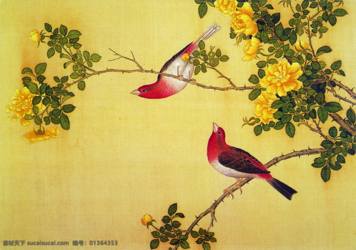 花鸟 古画 白描 工笔 国画 绘画 水墨 文化艺术 艺术 中国画 装饰 花鸟古画