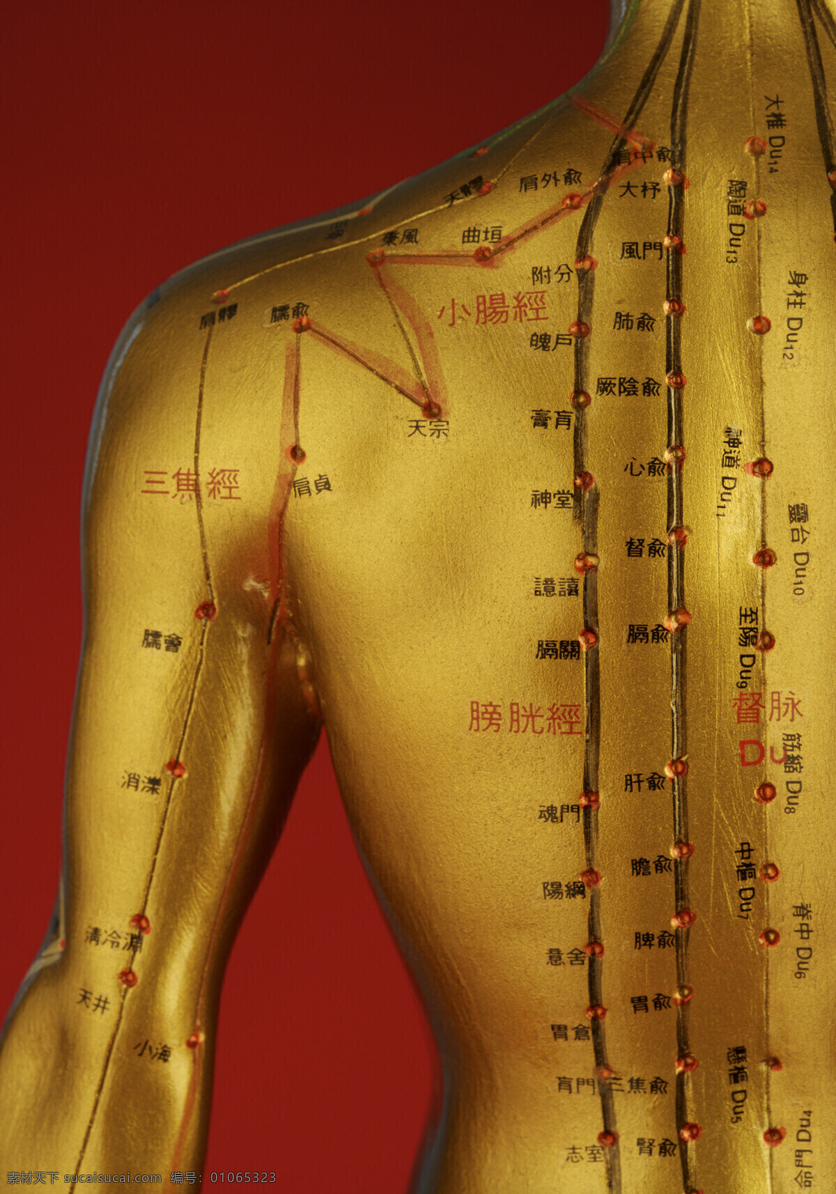 针灸铜人 经络 铜人 经络铜人 中医 针灸 穴位 国学 传统文化 医药 医疗护理 现代科技