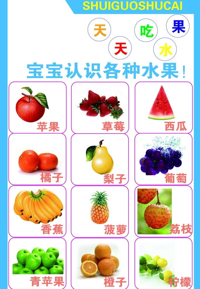 天天吃水果 宝宝 认识 各种 水果 苹果 草霉 西瓜 橘子 梨子 葡萄 香蕉 菠罗 荔枝 青苹果 橙子等 水果画 分层 源文件