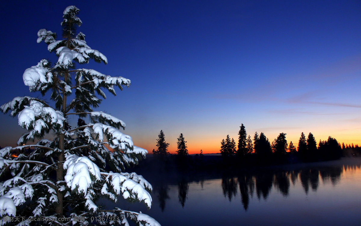 自然风光 壁纸 风光 树 树影 夕阳 雪 自然 水 风景 生活 旅游餐饮