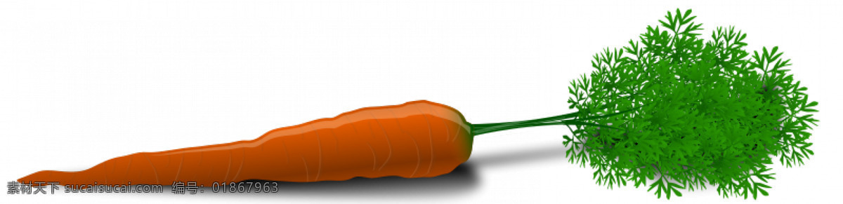 一个 胡萝卜 矢量 图像 橙色 夹 剪贴画 绿色 烹饪 食品 蔬菜 艺术 原 svg 真实感 干 整个 日常生活