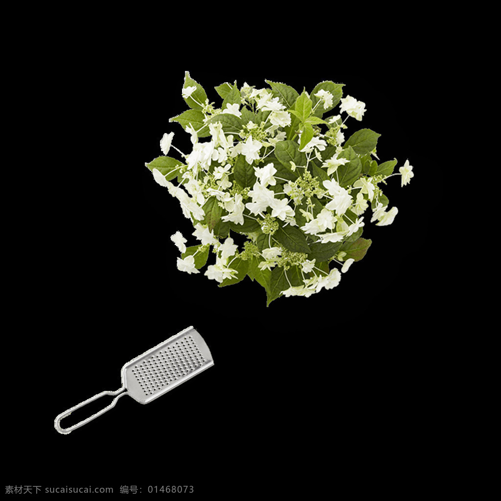 素雅花朵元素 手绘 白色花朵 素雅花朵 绿叶 植物