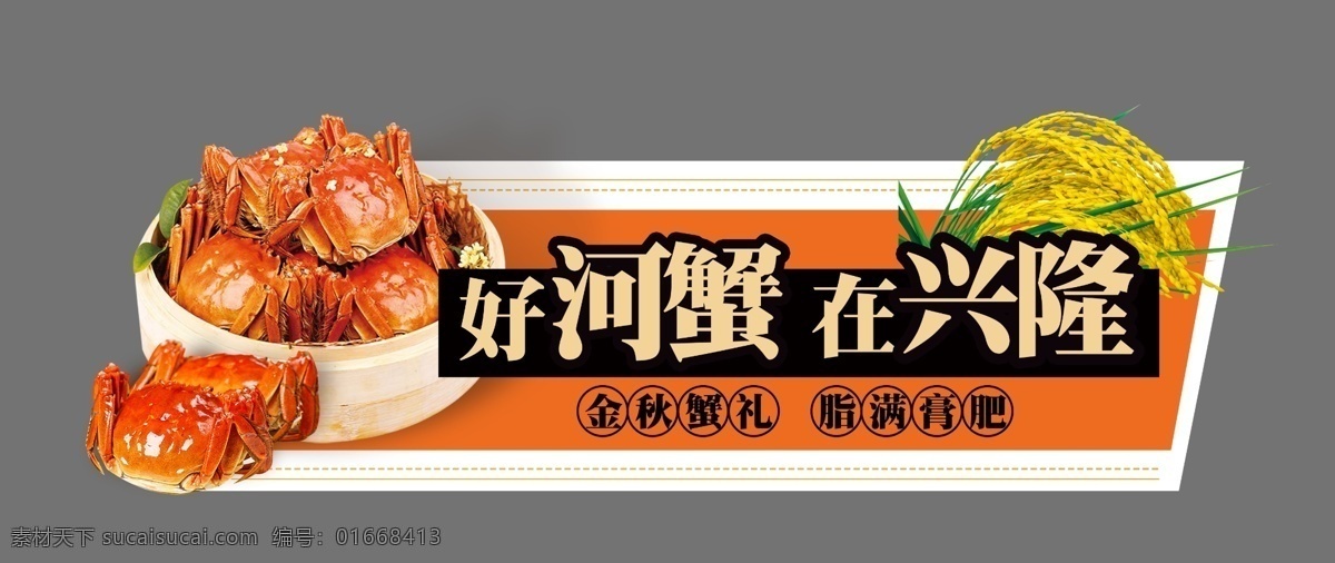 河蟹 稻米 宣传牌 螃蟹 蒸螃蟹 成熟的水稻 成熟的螃蟹