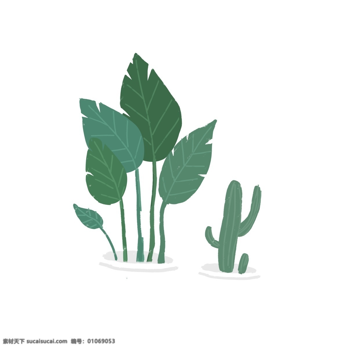 两 盆 绿色植物 盆栽 绿色 植物 插画 卡通 花盆 仙人掌 简约设计
