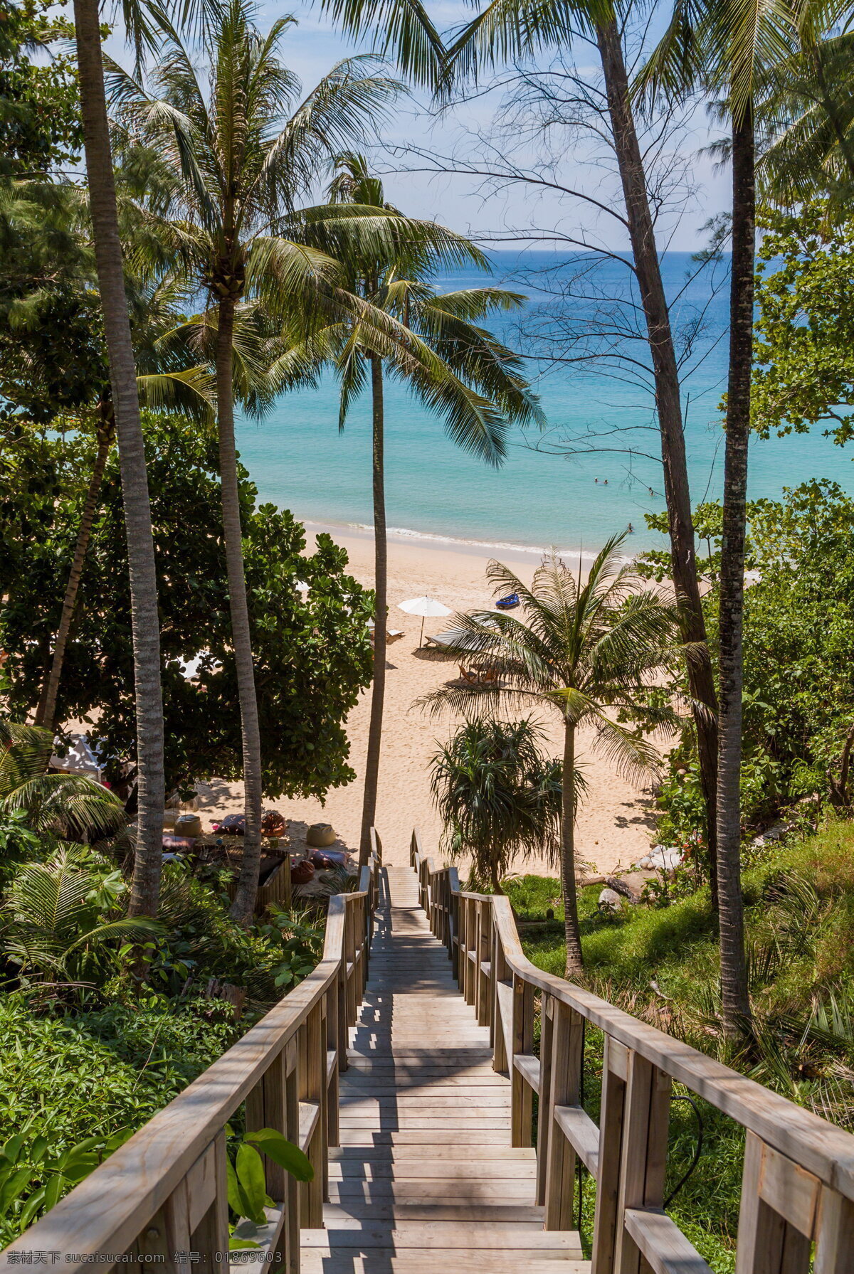 夏威夷风景 夏威夷 热带植物 绿色 植物 植被 木栈道 沙滩 海边 遮阳伞 大海 自然风光 风景图 自然景观 自然风景