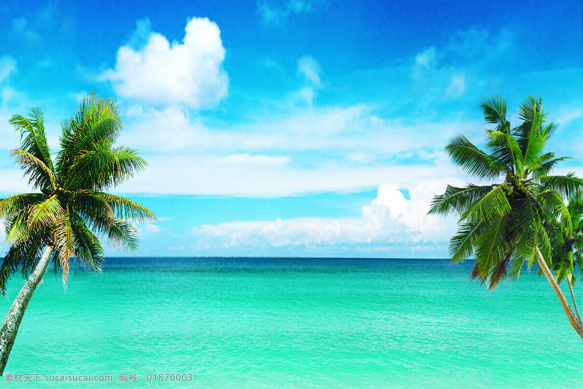 海边棕榈树 海边 棕榈树 蓝天 白云 自然景观 自然风景 大海 拍摄 旅游摄影
