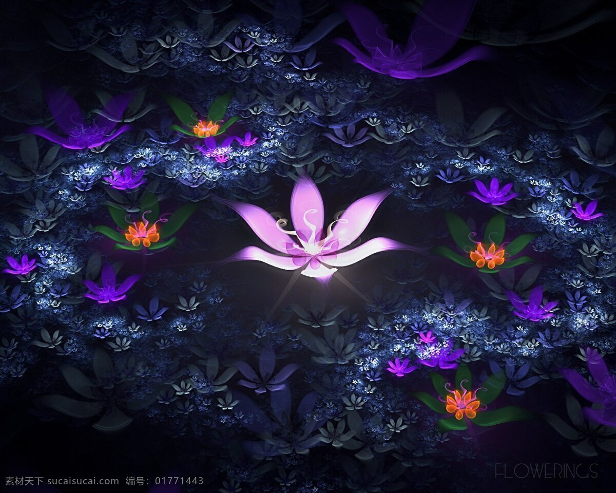 紫色 发光 花朵 梦幻 底纹边框