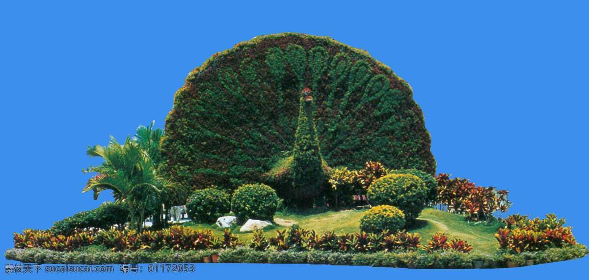 奇 型 造型 植物 奇型 配景素材 园林植物 园林 建筑装饰 设计素材 青色 天蓝色