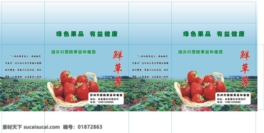 草霉包装盒 草霉包装盒子 草莓背景图 草莓地 草莓园 包装设计 矢量