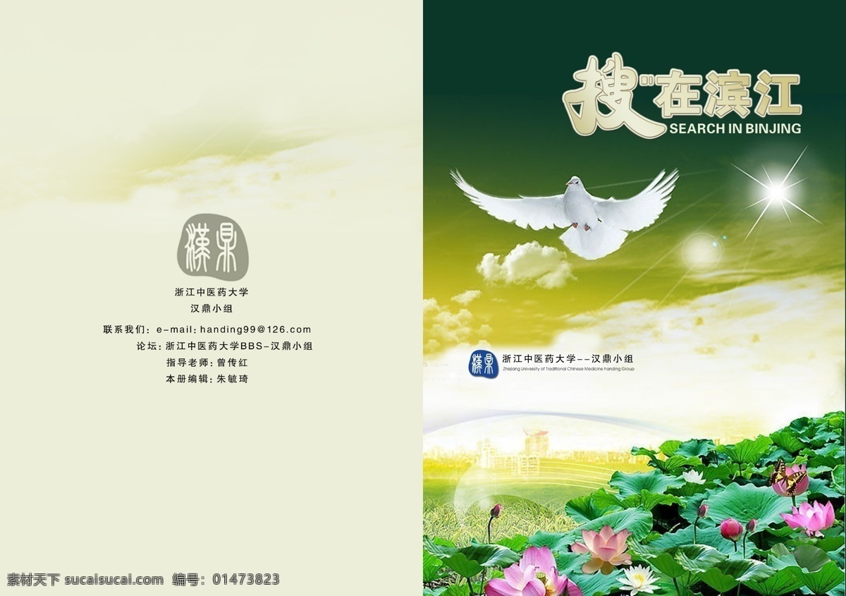 白鸽 广告设计模板 荷花 画册设计 设计图库 小册子 源文件库 搜在滨江1 搜在滨江 搜 宣传册 滨江 其他画册封面