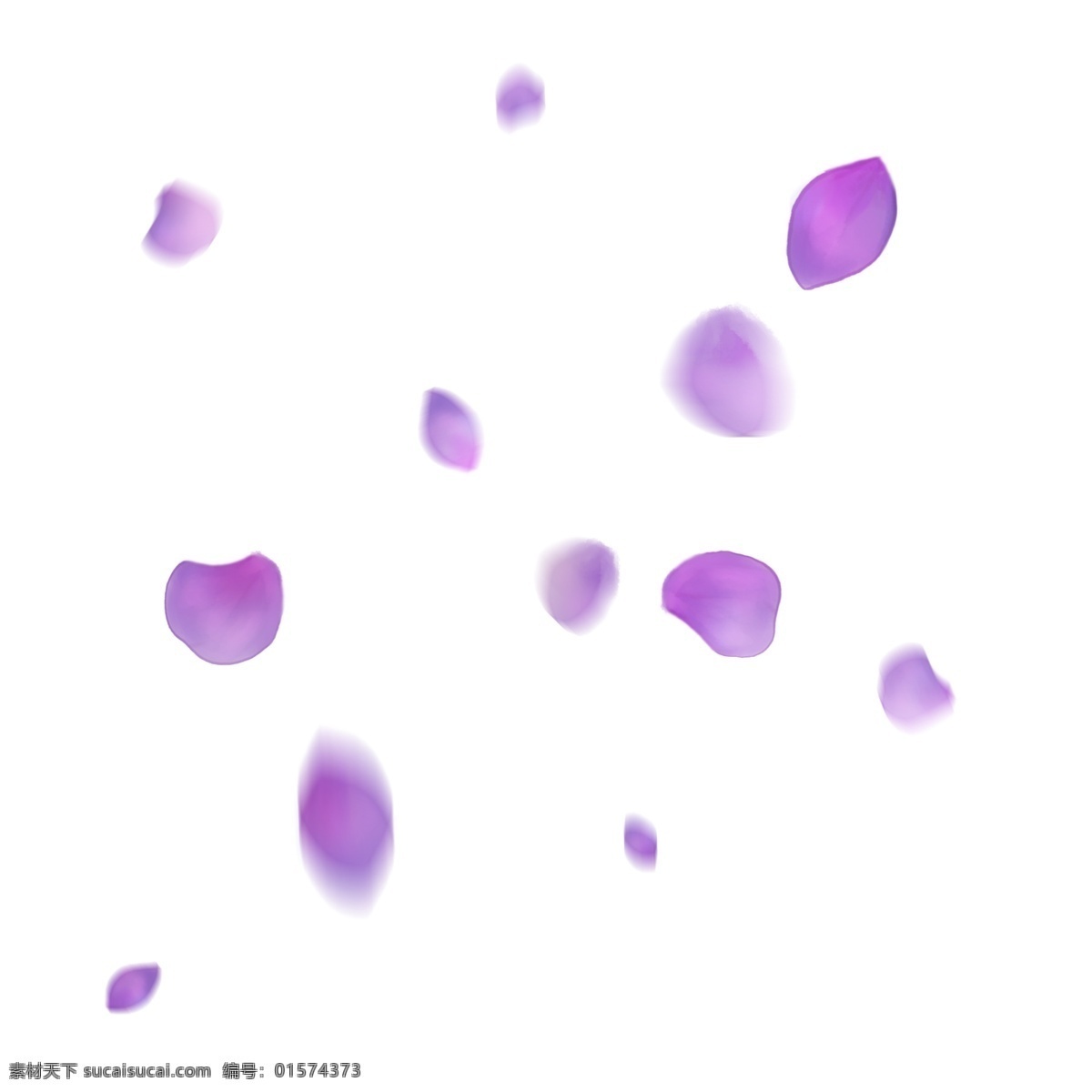漂浮 紫色 花瓣 手绘 绣球 飘落 紫红色 唯美 浪漫 绣球花瓣 飘落的花瓣 手绘紫色花瓣 飞舞 漂浮素材
