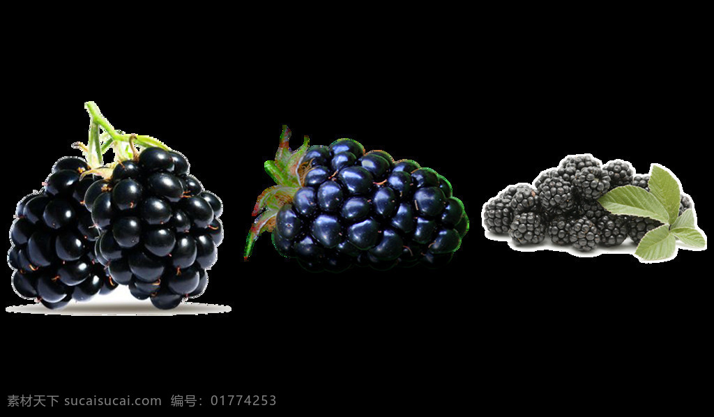 黑 莓 水果 免 抠 透明 图 层 黑莓水果 黑莓水果图片 黑莓素材 野果图片 水果黑莓 黑莓元素 露莓 露莓图片 露莓素材 黑莓广告图片 黑莓海报素材 透明png 图片png