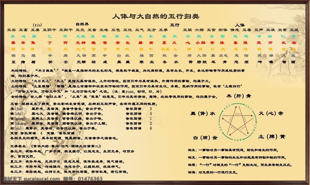 五行归类 人体 大自然 五行 归类 人体与大自然 广告设计模板 源文件