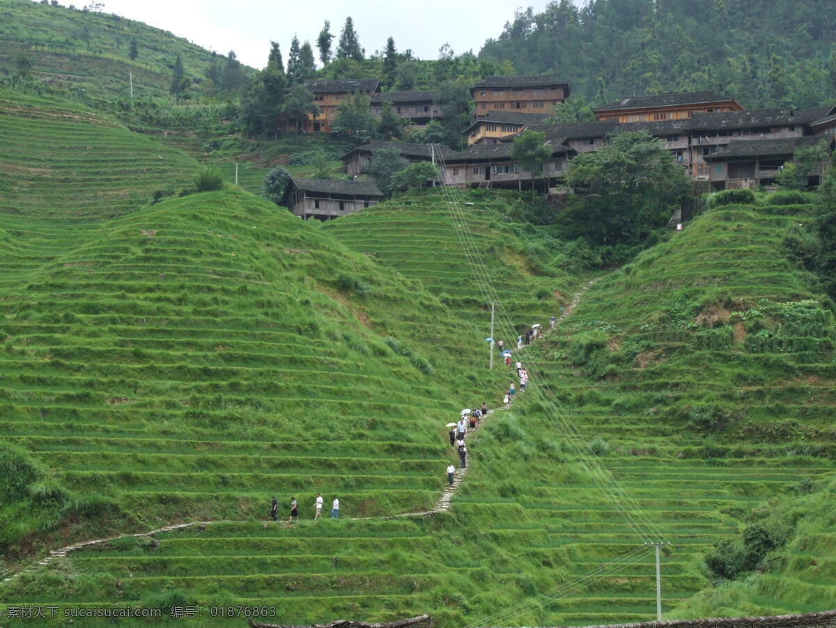 桂林风景 桂林龙胜梯田 如链似带 山脚 盘绕 山顶 小山如螺 大山似塔 层层叠叠 高低错落 风景 生活 旅游餐饮