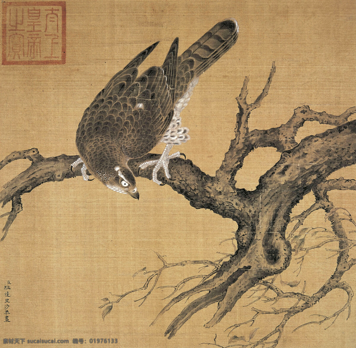 鹰 老鹰 树技 老鹰栖身图 水墨画 工笔画 工笔水墨 国画 中国画 传统画 绘画图文 文化艺术 绘画书法