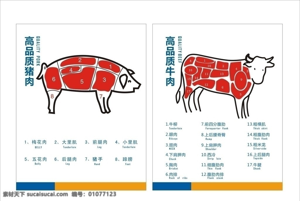 猪肉 牛肉 分割 图 矢量素材 其他矢量 矢量