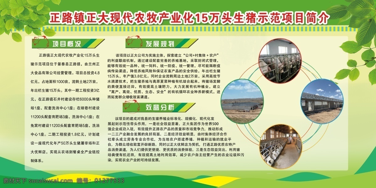 项目简介 农牧 项目 简介 养猪 养殖 现代化农牧 现代化产业 分层