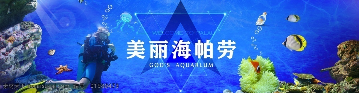美丽 海 帕劳 banner 帕劳旅游 旅游 蓝色