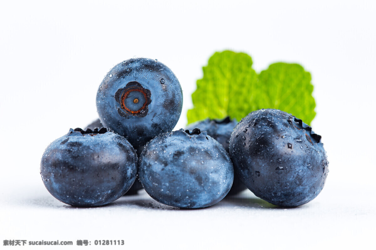 水果 白底蓝莓 新鲜蓝莓 生物世界