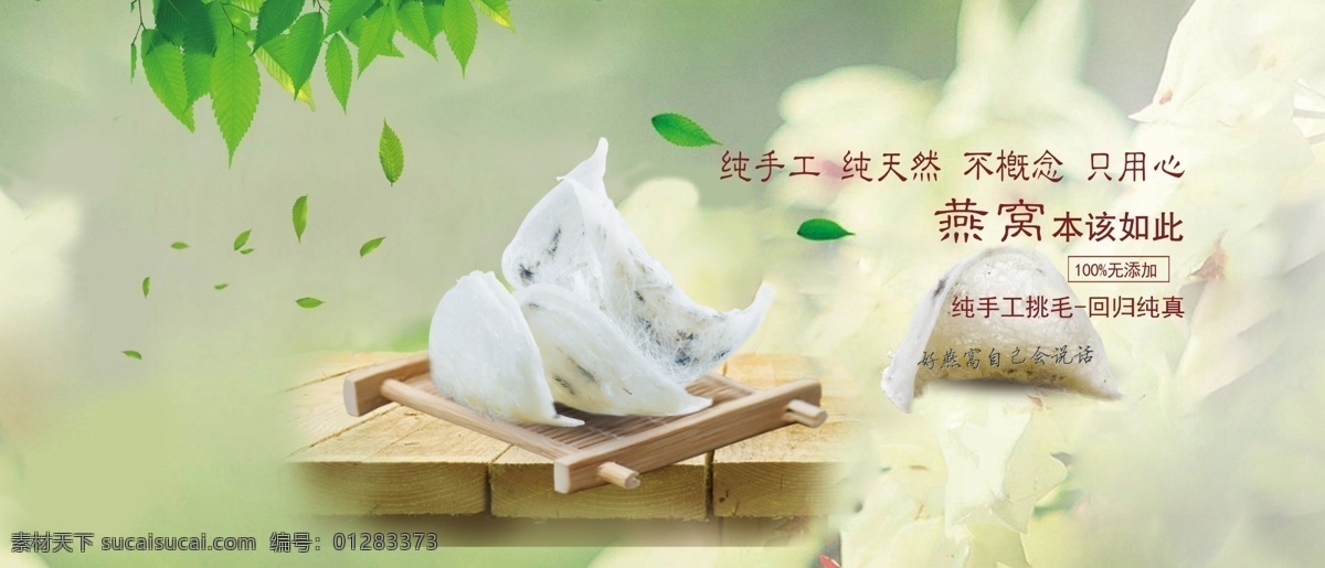 绿色背景 燕窝 单盏燕窝 绿叶 展板 广告 展板模板