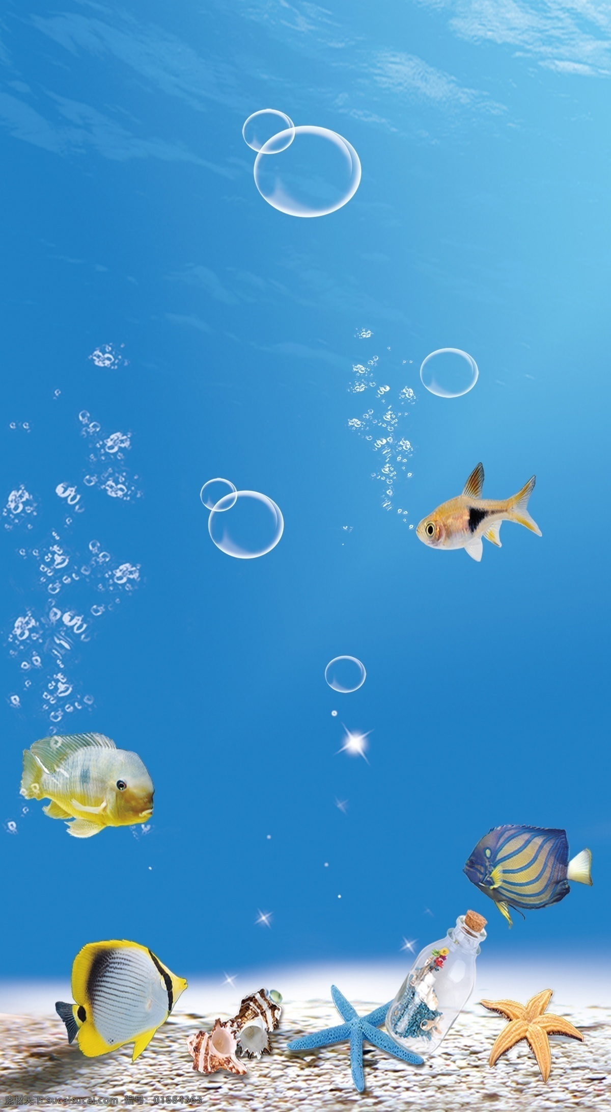 海底世界 海底 海底背景 鱼 气泡 水泡 海星