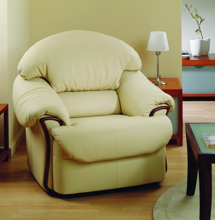 现代 光 颜色 单一 真皮沙发 沙发 欧洲风格的 现代的毛皮 3d模型素材 其他3d模型