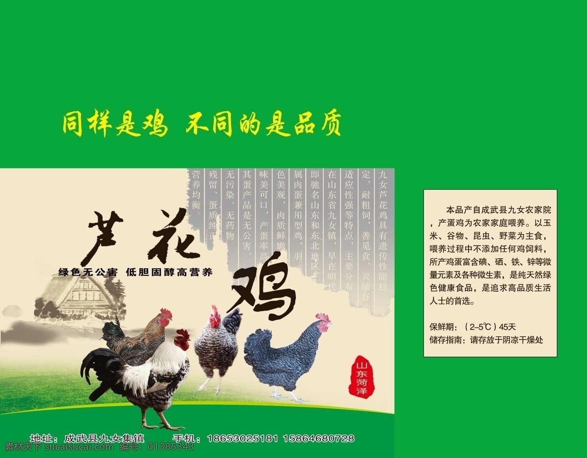 芦花鸡 纸箱 公鸡 动物 包装箱 包装盒 商标 纸箱包装 绿色 包装设计 广告设计模板 源文件